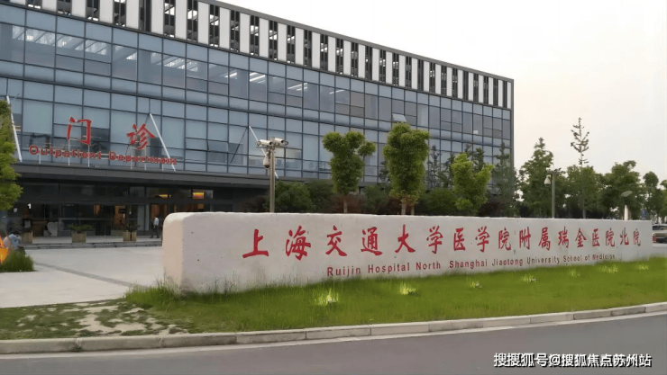 新利体育时期之城(2025年时期之城)首页网站-时期之城楼盘详情-时期之城户型配(图13)